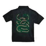 Ancient snake polo